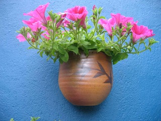  Wall plant pot with pegonias
